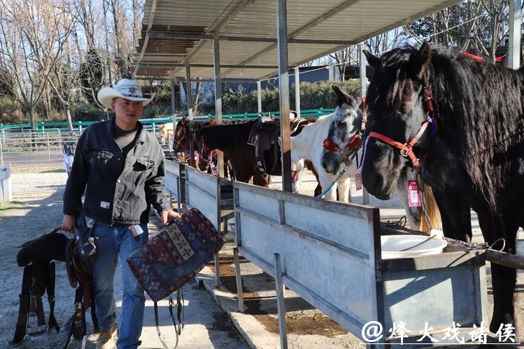 “马年抓马”在大理设现场抓马分会场